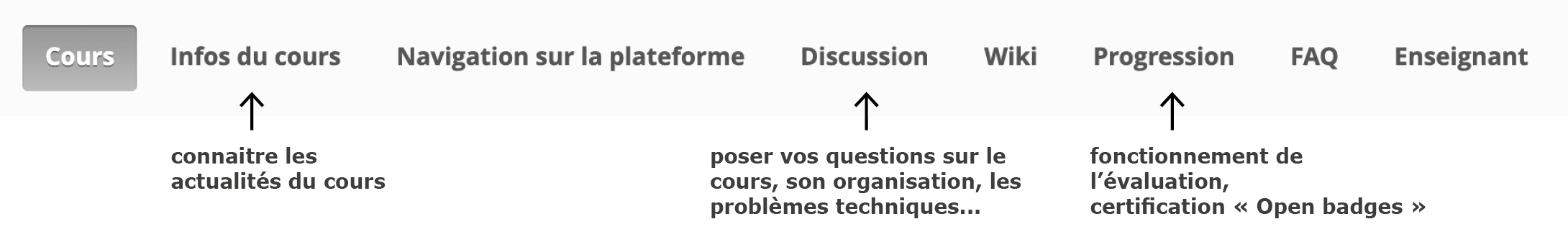 Capture d’écran de la plateforme FUN