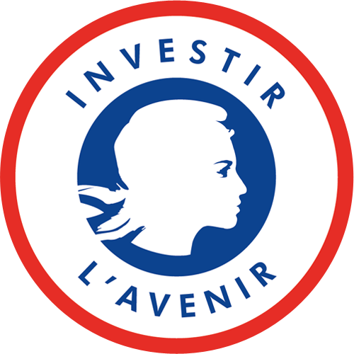 Investissement d'avenir